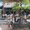 Photo of Amiela C.