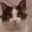 Photo of Alley B.