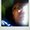 Photo of Elixeo F.