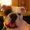 Photo of Daizy A.