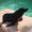 Photo of Qype User (Senori…)