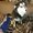 Photo of Luna G.