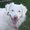 Photo of Roxie B.