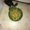 Photo of Ouroboros V.