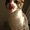 Photo of Lucky C.