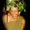 Photo of Julie G.