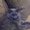 Photo of Margene S.
