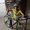 Photo of Cindy A.