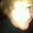 Photo of braxton s.