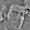 Photo of Ken G.