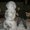 Photo of Chris G.
