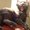Photo of katbaggins R.