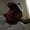 Photo of Andres M.