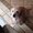 Photo of Cindy M.