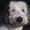 Photo of Jon V.
