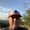 Photo of Tony S.