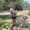 Photo of Jessica M.