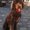 Photo of Alline C.