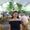 Photo of Emmaleigh G.