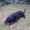 Photo of Qype User (doglov…)