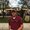 Photo of Elijah P.