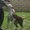 Photo of Paul R.