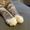 Photo of Ponette L.