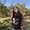 Photo of Liana G.