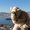 Photo of Qype User (lykkel…)
