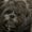 Photo of Masten P.