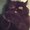 Photo of Leeza R.