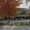 Photo of Delta Tax R.