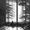 Photo of Leviathan W.