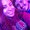 Photo of Araceli J.