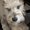 Photo of Hammy T.