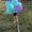 Photo of Jerica R.