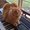 Photo of MozzarElla D.