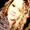 Photo of Shaine B.