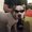 Photo of Ryan M.
