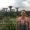 Photo of Brianna J.