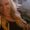 Photo of Beckie S.