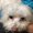 Photo of Kika T.