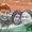 Photo of Susmitha R.