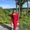 Photo of Maleeha A.