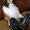Photo of Karen F.
