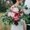 Photo of Berenice C.