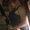 Photo of Leda L.
