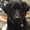 Photo of Cherie B.