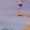Photo of Jessica C.