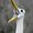 Photo of The A.